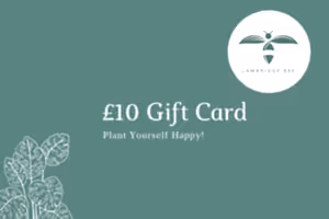 E-Gift Card - Cambridge Bee