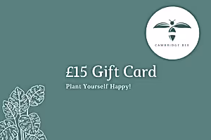 E-Gift Card - Cambridge Bee
