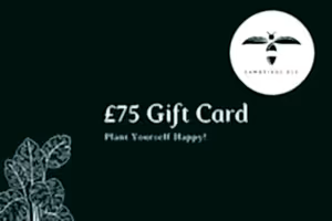 E-Gift Card - Cambridge Bee