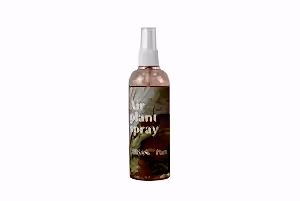 Air plants care spray - Cambridge Bee