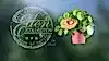 Pilea Peperomiodes - Money plant ⌀12cm - Cambridge Bee